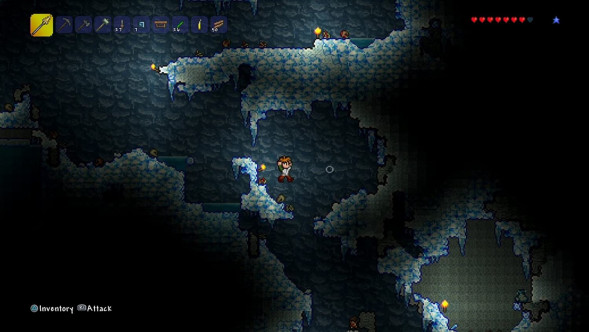 Игра Terraria [PS4, русские субтитры] в Калининграде