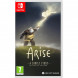 Игра Arise: A Simple Story. Definitive Edition [Nintendo Switch, русские субтитры] в Калининграде