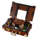 Конструктор LEGO Harry Potter 75952 Чемодан Ньюта Саламандера в Калининграде