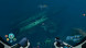 Игра Subnautica: Below Zero [PS5, русские субтитры] в Калининграде