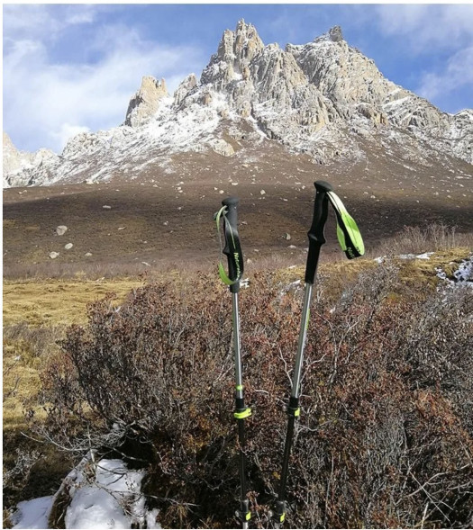 Треккинговая палка Naturehike 135 см, 1шт., серый/зеленый в Калининграде