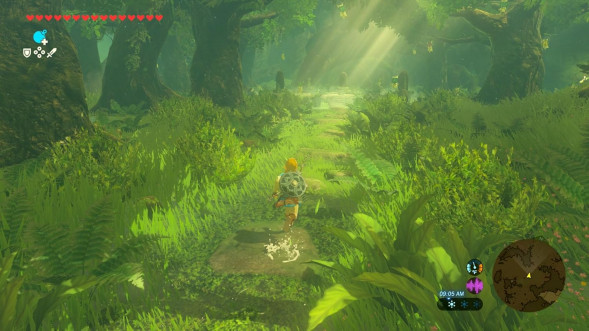 Игра The Legend of Zelda: Breath of the Wild [Nintendo Switch 2, русская версия] в Калининграде