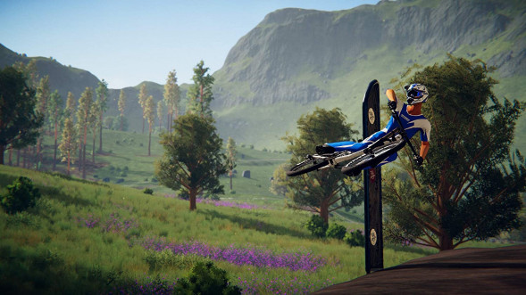 Игра Descenders [Nintendo Switch, английская версия] в Калининграде
