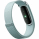 Фитнес-браслет Google Fitbit Air (Серо-голубой/Fog) в Калининграде
