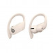 Беспроводные наушники Beats Powerbeats Pro, Ivory (MY5D2ZM/A) в Калининграде
